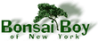 Coupon codes Bonsai Boy