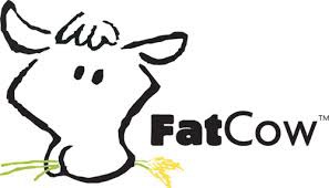 Coupon codes FatCow