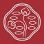 Coupon codes Shiseido