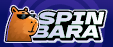Coupon codes Spinbara